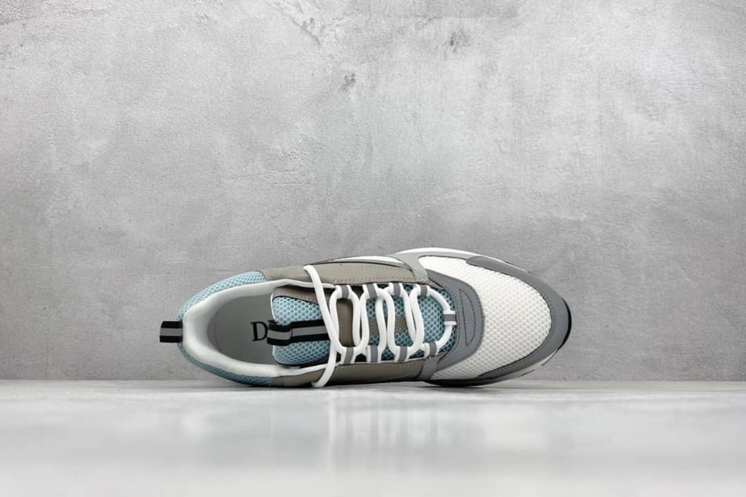 Dior B22 'White Blue'