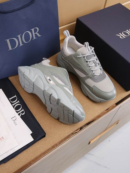 Dior B22 Grey